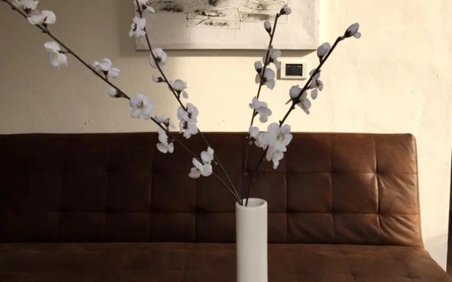 Shangrilla Hotel & Restaurant