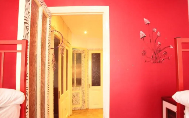 Zebra Hostel & Tours