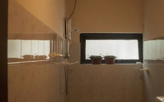 The Oasis Hostel