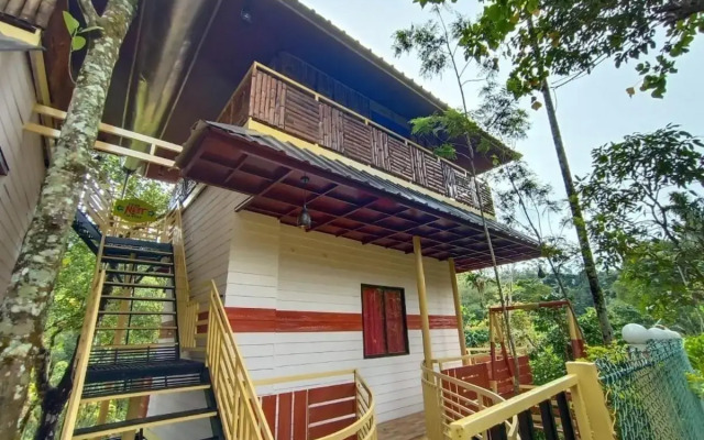 Chalona Jungle Eco Stay