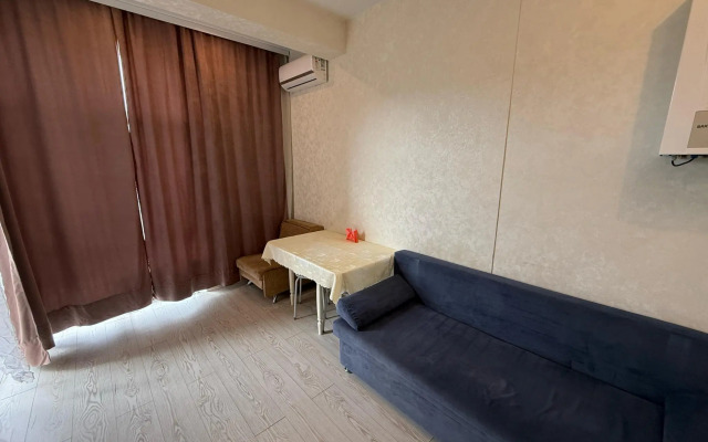 Апартаменты Pluton Aparts в СНТ Агро