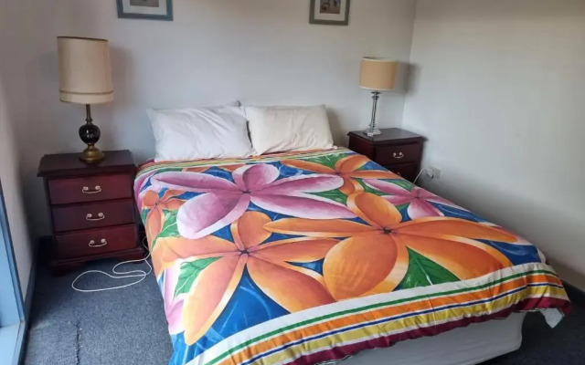 Blue Poles - Pet Friendly