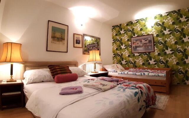 Hostel Pansion Lion