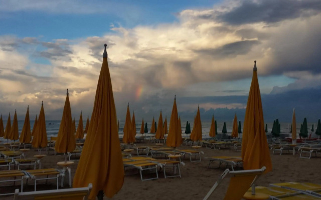 Mare