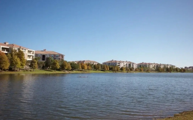 Lake View Joy