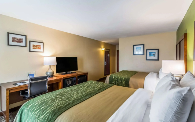 Comfort Inn & Suites Panama City North