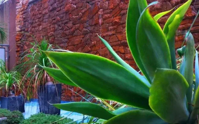 Hotel - Miro Park