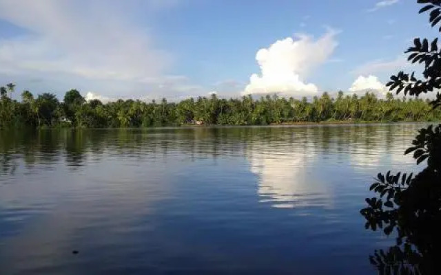 Big Banana Island Retreat