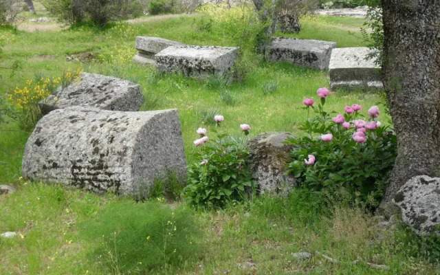 La Casa De La Abuela
