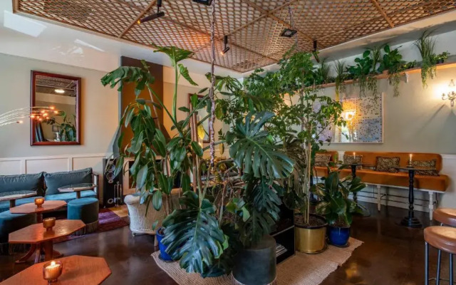 Communal Hotel Plekhanovi