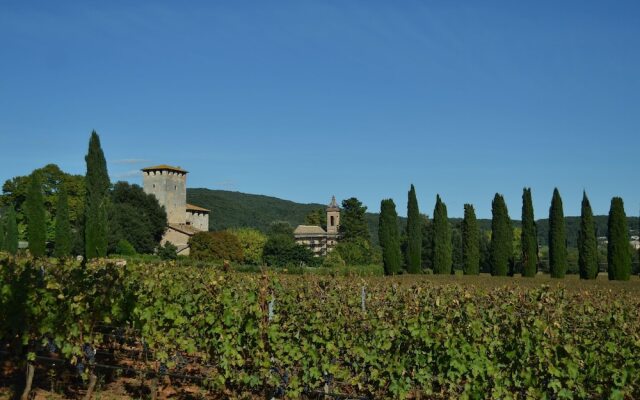 Modern Apartment in San Giusto Italy With Pool