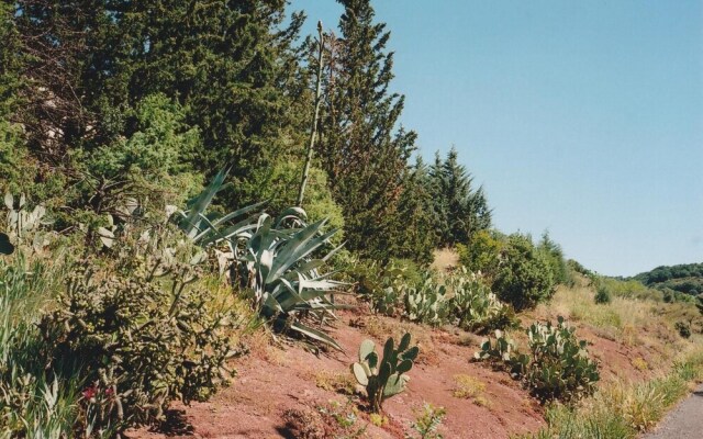 Le Chemin de Lauzières