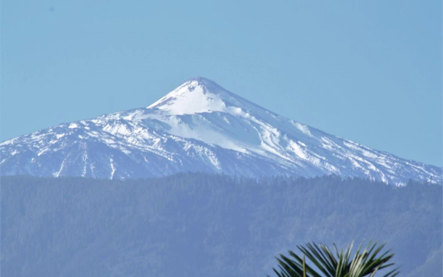 Paula Pool Apartment Adeje