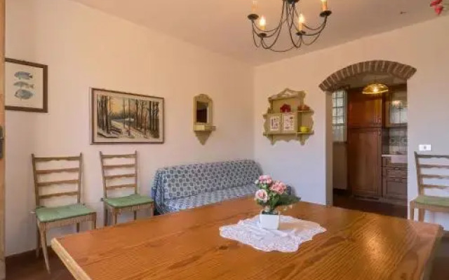 Conte Francesco Ii 233S