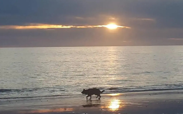 Acogedor Apartamento A 100 M. De Pinares Y Playa