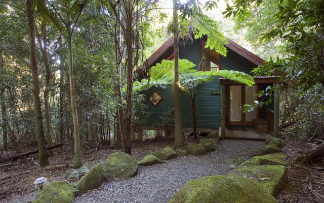 Springbrook Lyrebird Retreat