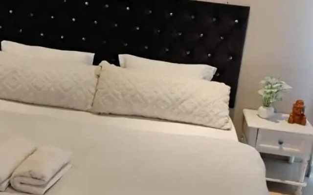 The luxury apartments