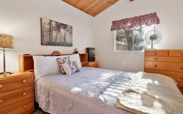 Escape IN THE Pines #2276