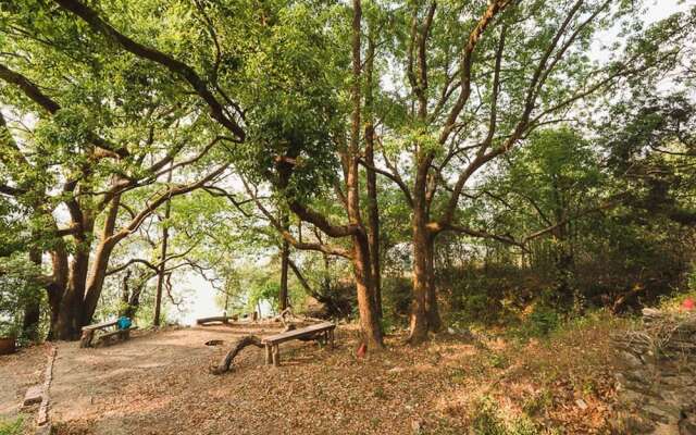 The Camphor Tree - Pura Stays