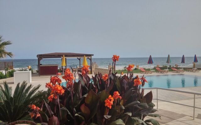 Chrisanna Apartments & Studios