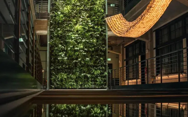 MONTOWNIA Lofts & Experience