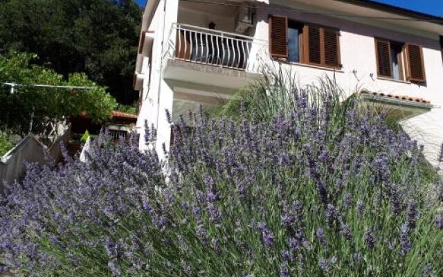 Apartment and B&B Mikleus
