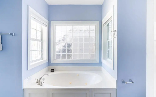 Ocean View - Blue Jay