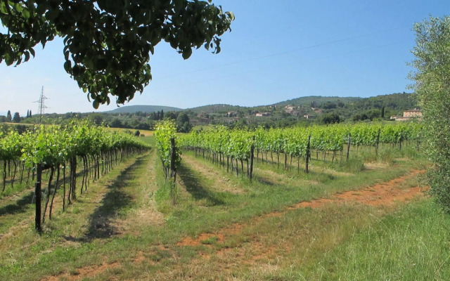 Agriturismo Podere Ficareto