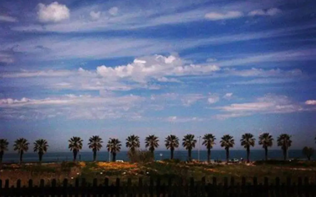 La Palma del Sol