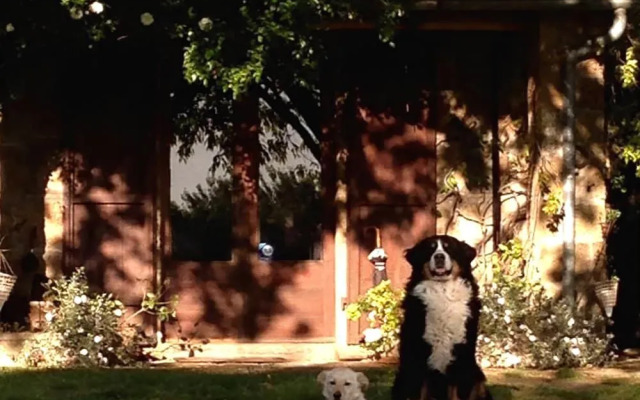 Bed and breakfast dopo il settimo cielo