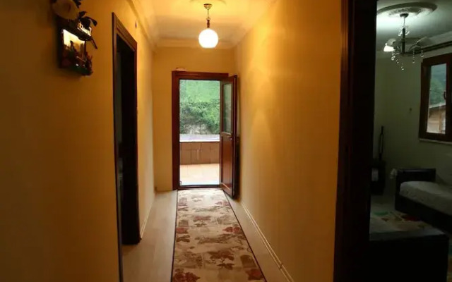 Yeşil Doğa Bungalov