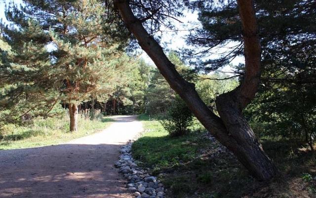 Вершина 1240***