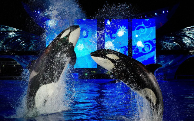 Staybridge Suites Orlando at SeaWorld by IHG