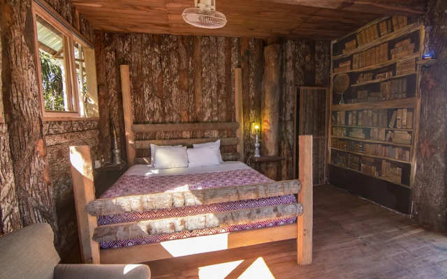 Hostel Bambu Gran Palas and Cenote