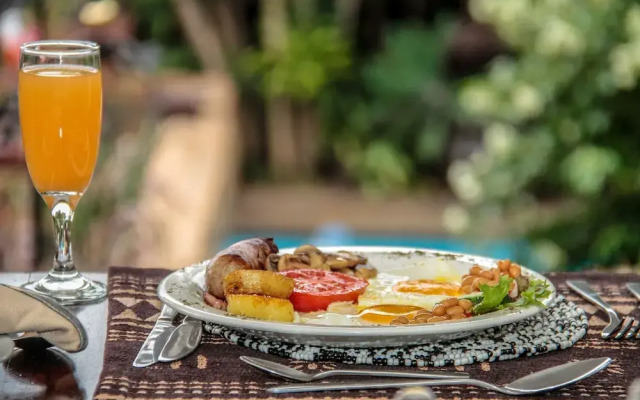 Acorn B&B in Durban