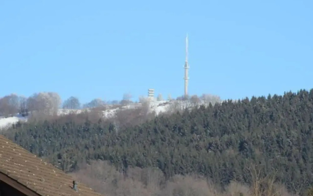 Idyllic Apartment with Balcony, Garden, Bbq, Fireplace