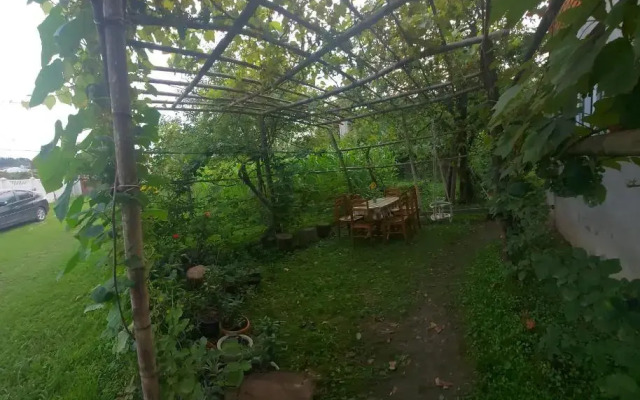 Guest House Sveta