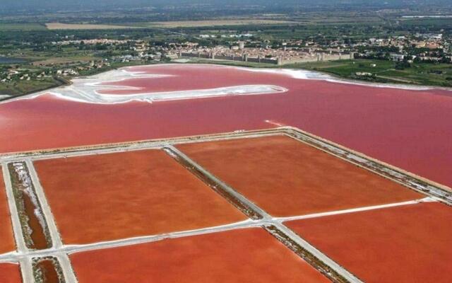 Appartement Le Grau-du-Roi, 2 pièces, 4 personnes - FR-1-307-127