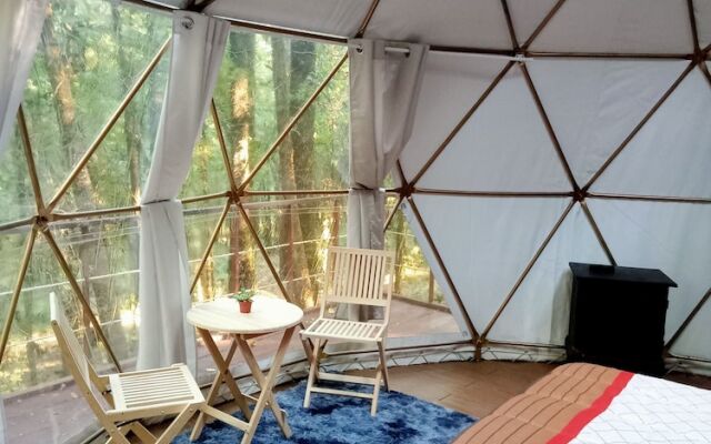 Glamping Don Delfis