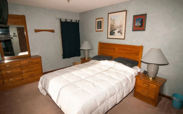 Slopeside Condo D102