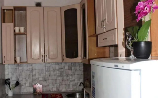 Апартаменты на улице Добролюбова 32к2