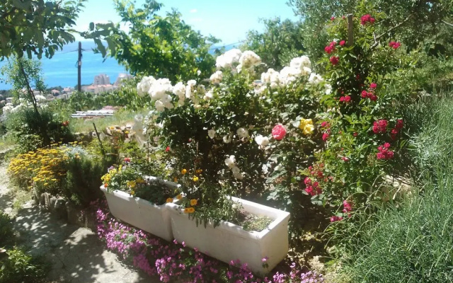 Mira Makarska in Makarska