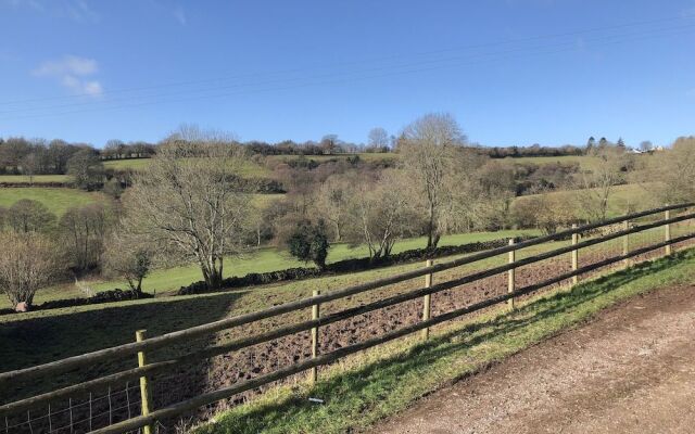 Welsh Marches at Upper Glyn Farm