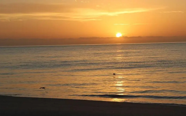 Las Sirenas de Santa Clara