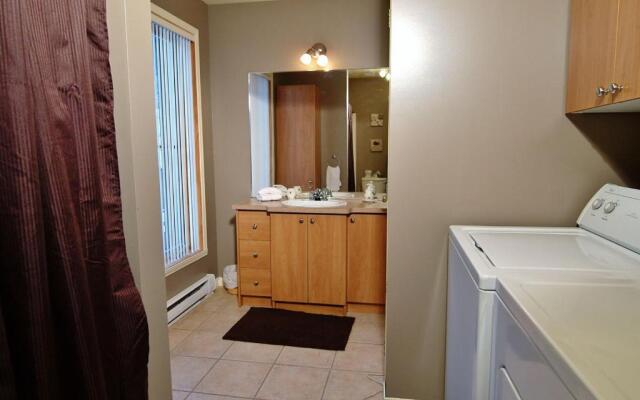 Chalets Alpins - 01 Chemin Alpin