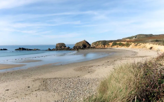 Le Vieux Chêne (CMS106)