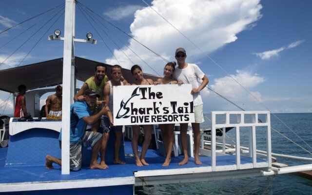 The Sharks Tail Dive Center