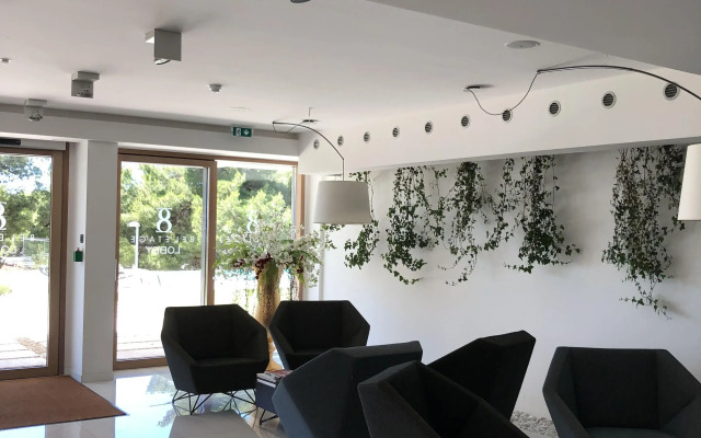 Luxury Residence Gabriela with Pool