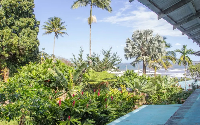 Wild Ginger Inn Hotel & Hostel