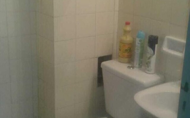 Zona Peatonal Central Apartment Mendoza City
